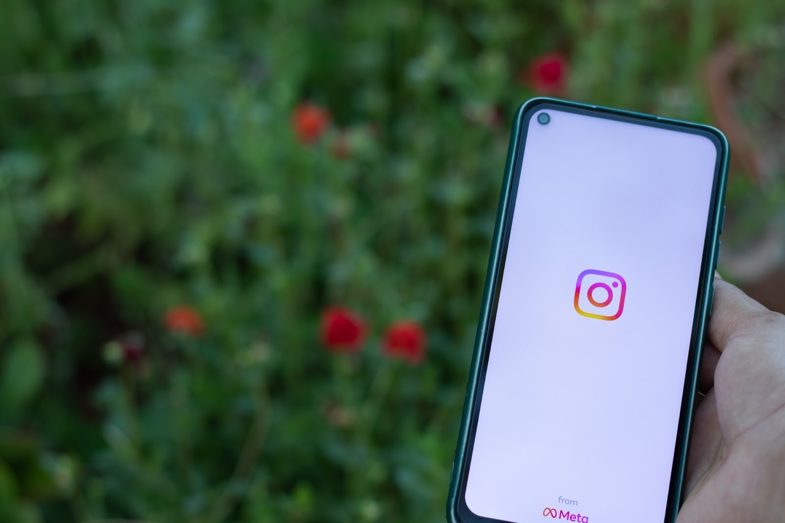 Mão segurando um smartphone com a tela inicial de carregamento do Instagram, mostrando o logotipo colorido e a assinatura "from Meta". O fundo é desfocado com vegetação verde e flores vermelhas. A imagem simboliza o ponto de partida para Ganhar Dinheiro no Instagram através da plataforma de conteúdo.